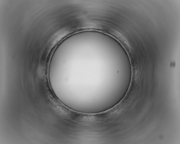 X0000091070882200708061300