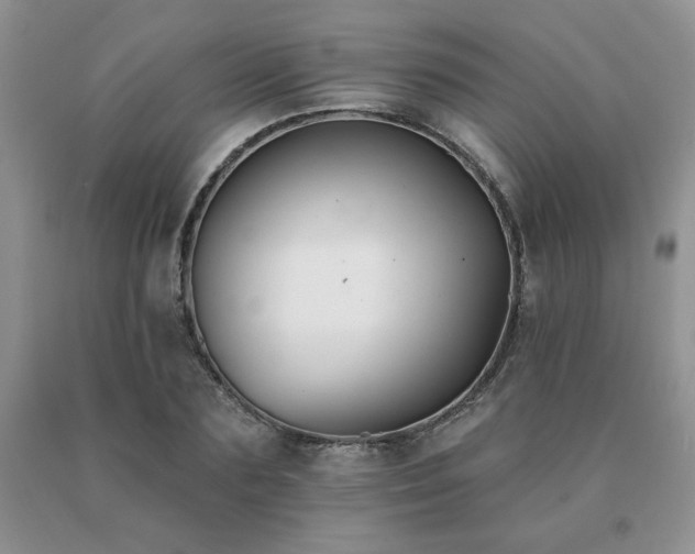 X0000091070883200708061300