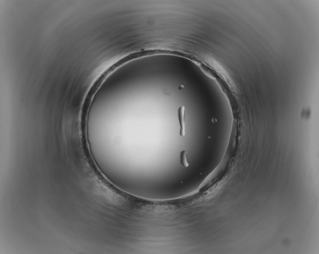X0000091070884200708061259