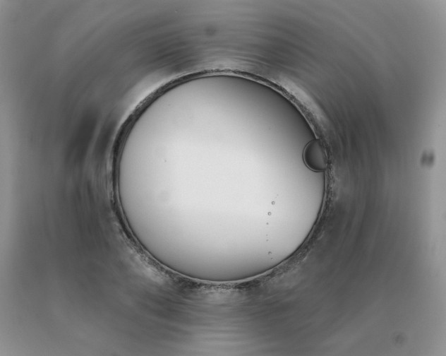 X0000091070886200708061259
