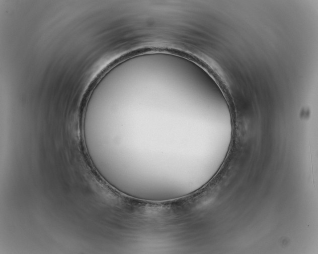 X0000091070887200708061259