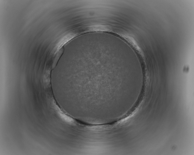 X0000091070889200708061259