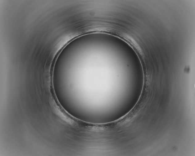 X0000091070890200708061259