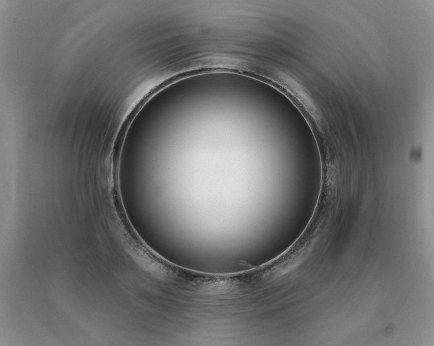 X0000091070891200708061259