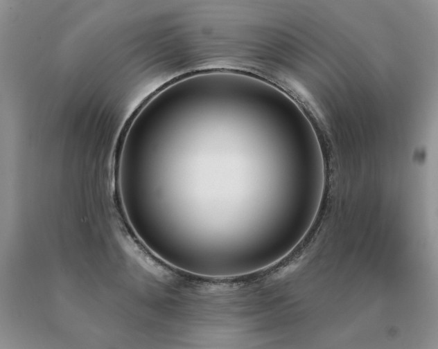 X0000091070892200708061259