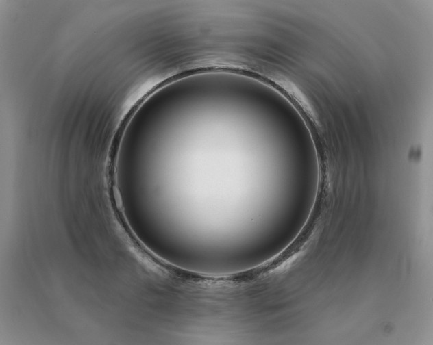 X0000091070893200708061259