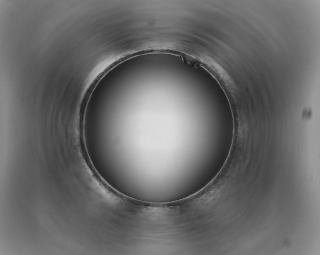 X0000091070894200708061259