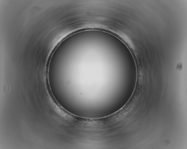 X0000091070895200708061259