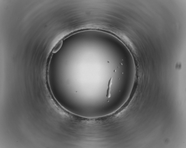 X0000091070896200708061259