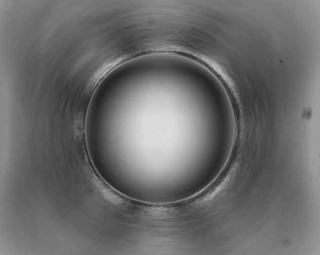 X0000091070897200708061259