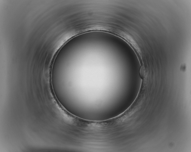 X0000091070898200708061259