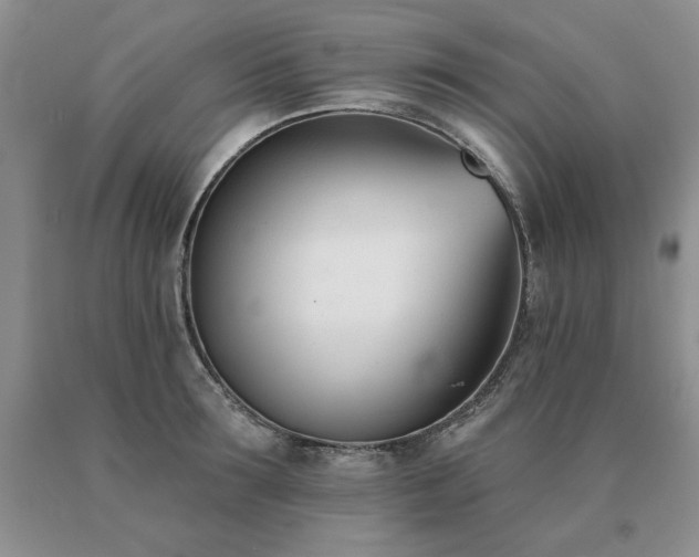 X0000091070899200708061259