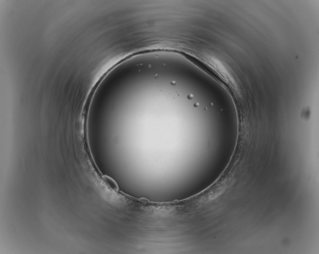 X0000091070900200708061259