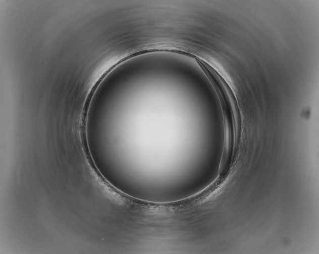 X0000091070901200708061259