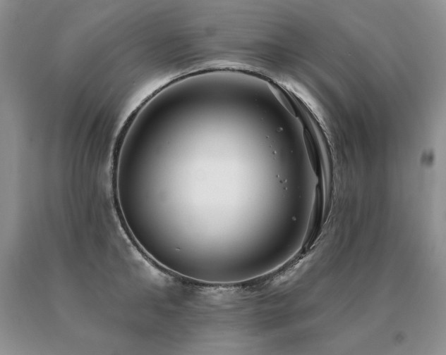 X0000091070902200708061259