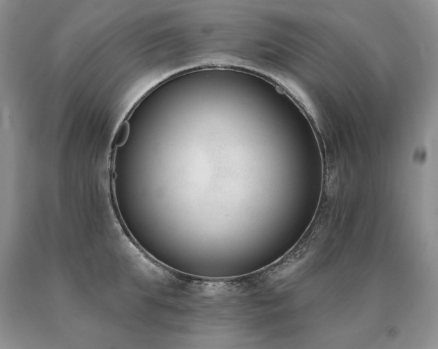 X0000091070903200708061259
