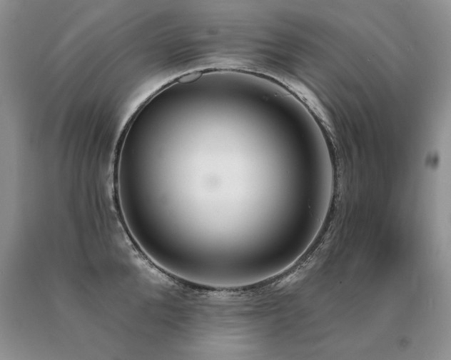 X0000091070904200708061259