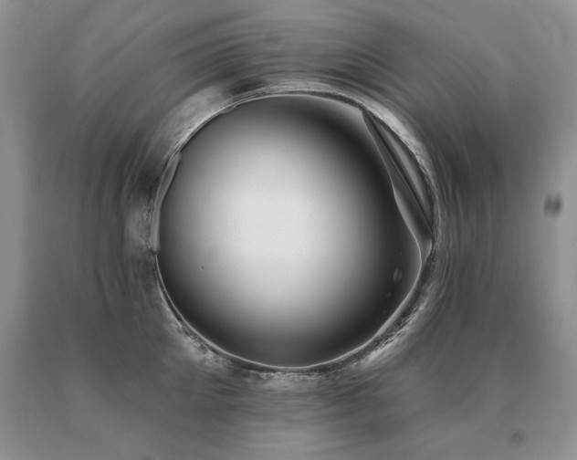 X0000091070905200708061259