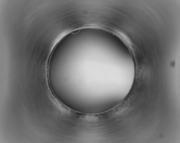 X0000091070907200708061259