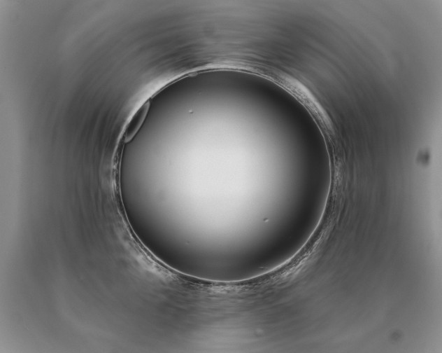 X0000091070908200708061259