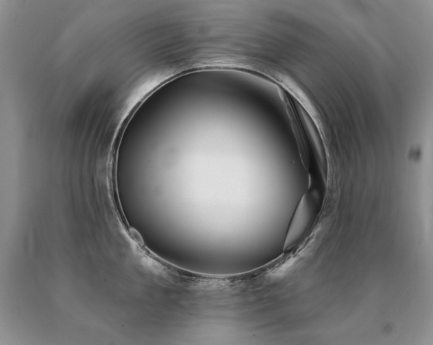 X0000091070909200708061259