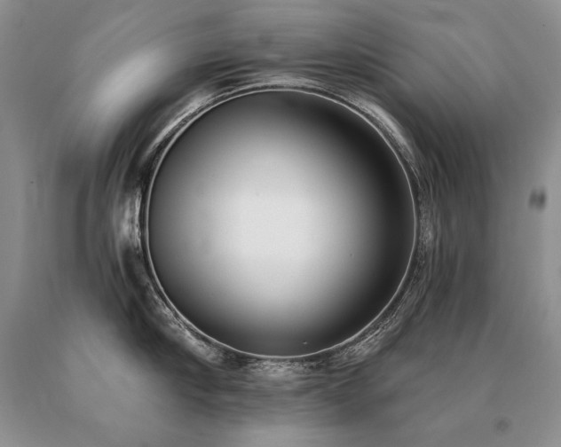 X0000091070910200708061259
