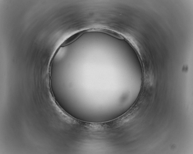 X0000091070911200708061259