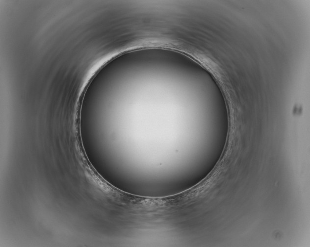 X0000091070912200708061259