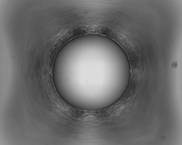X0000091070913200708061259