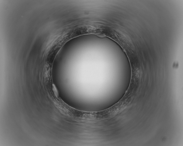X0000091070914200708061259