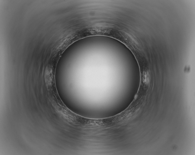 X0000091070915200708061259