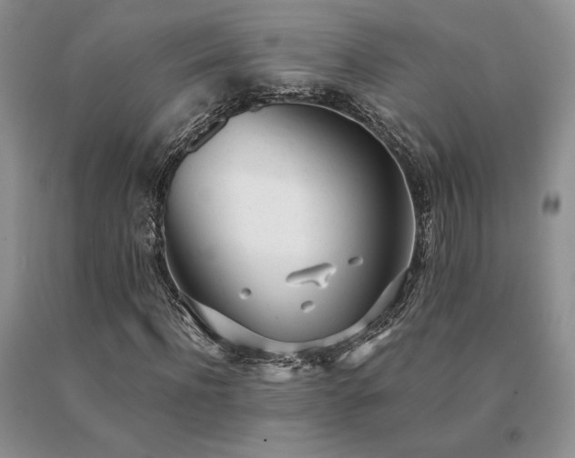 X0000091070916200708061259