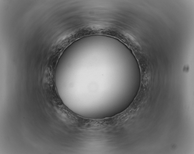 X0000091070917200708061259