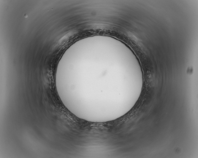 X0000091070918200708061259