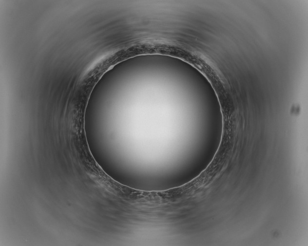 X0000091070919200708061259