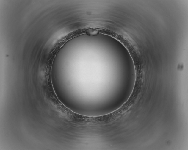 X0000091070920200708061259