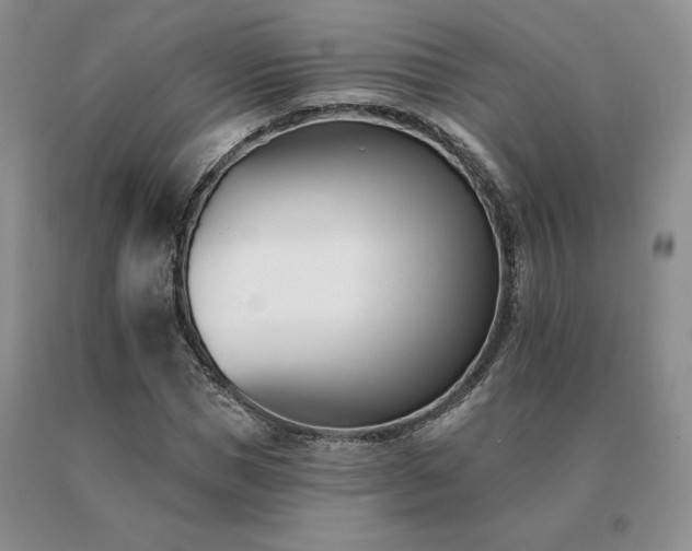 X0000091070921200708061259