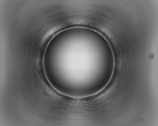 X0000091070922200708061259