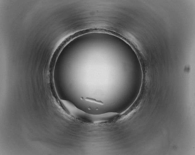 X0000091070924200708061259