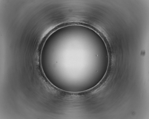 X0000091070925200708061259