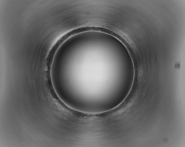 X0000091070926200708061259