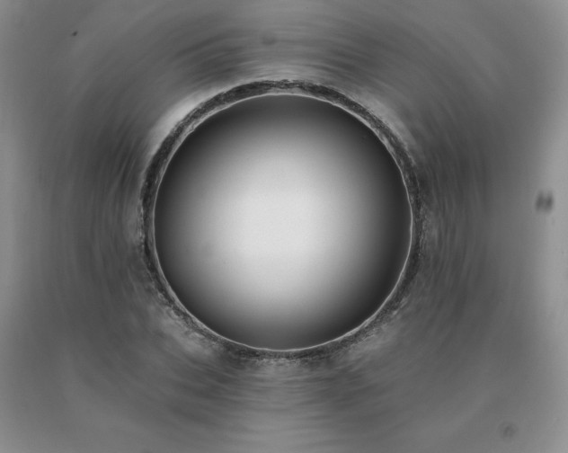 X0000091070927200708061259