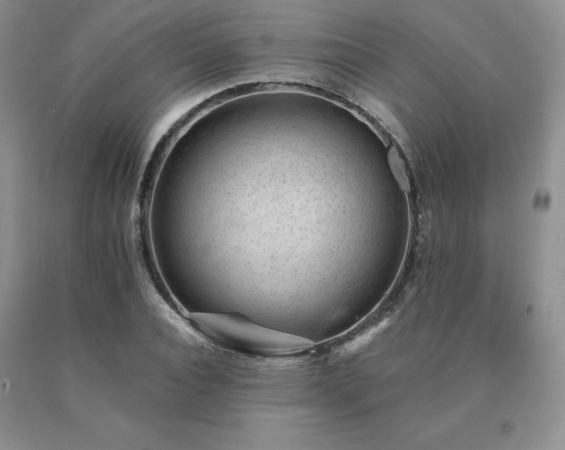 X0000091070928200708061259