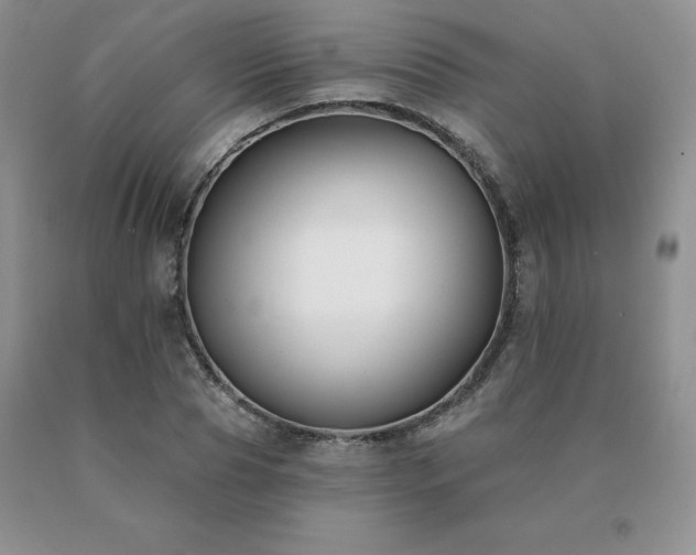 X0000091070929200708061259
