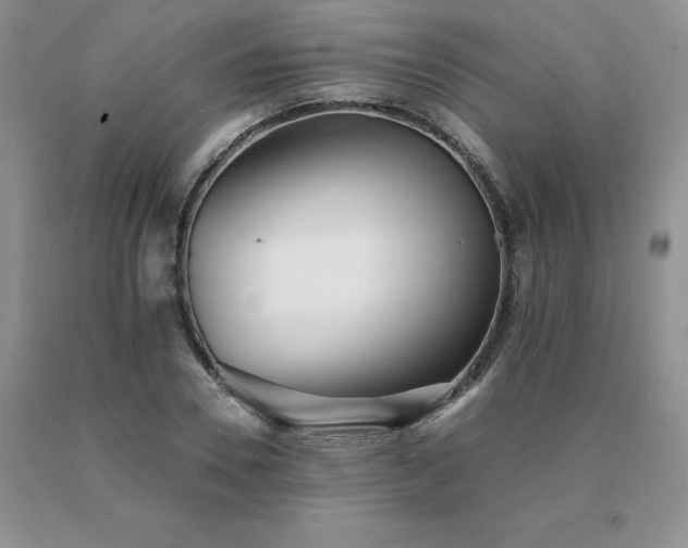 X0000091070930200708061259