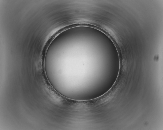 X0000091070931200708061259