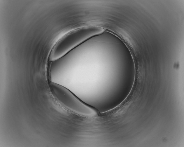 X0000091070932200708061259