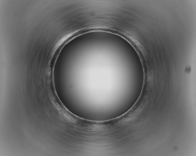 X0000091070933200708061259