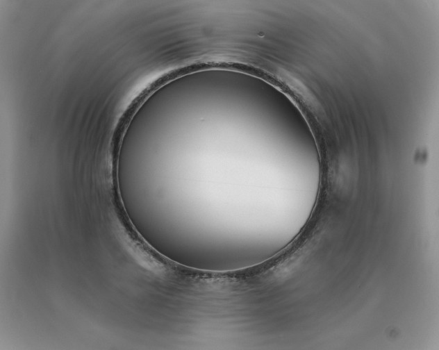 X0000091070934200708061259