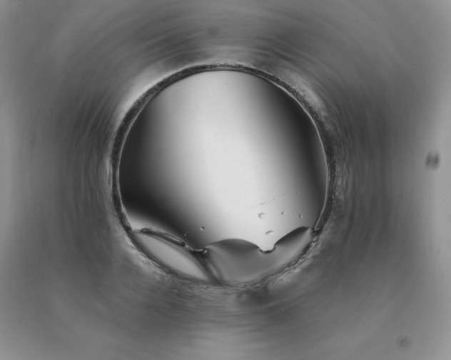 X0000091070936200708061259